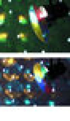 Eurolite Discolaitteet><noscript><img width=