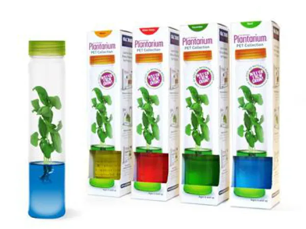 Lelufantti Kasvit Ja Eläimet>Plantarium