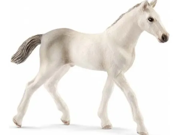 Schleich Eläinfiguurit|Hevosaiheiset Tuotteet>Holsteiner varsa Eläinfiguuri